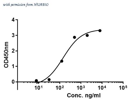 HUABIO HA721145 image 1