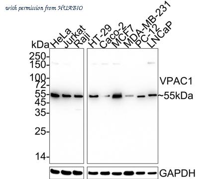 HUABIO HA721209 image 1