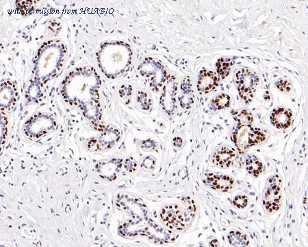 HUABIO HA721241 image 3