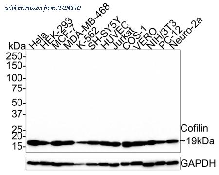 HUABIO HA721327 image 1