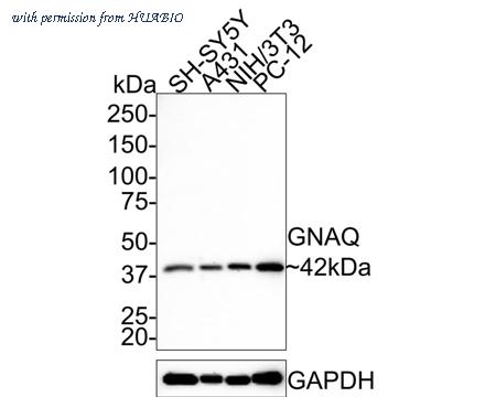 HUABIO HA721328 image 1