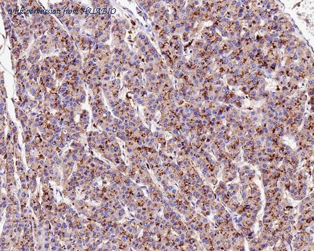 HUABIO HA721359 image 3