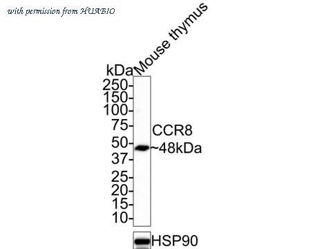 HUABIO HA721360 image 1