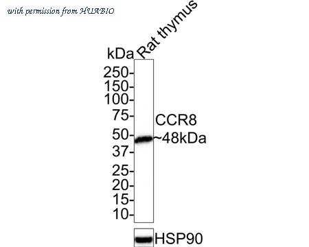 HUABIO HA721360 image 2