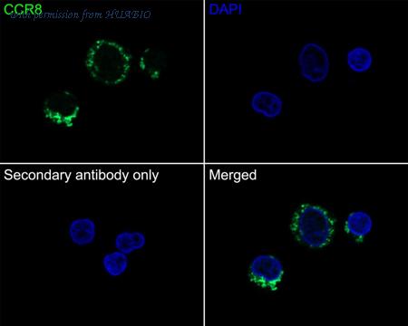 HUABIO HA721360 image 3
