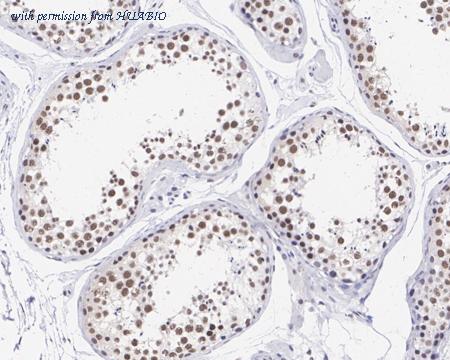 HUABIO HA721390 image 3