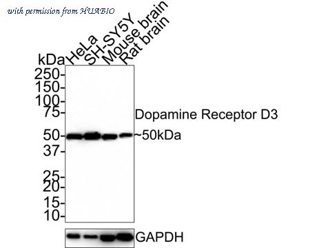 HUABIO HA721391 image 1