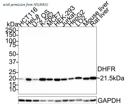 HUABIO HA721394 image 1