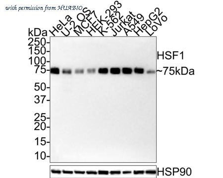 HUABIO HA721419 image 1