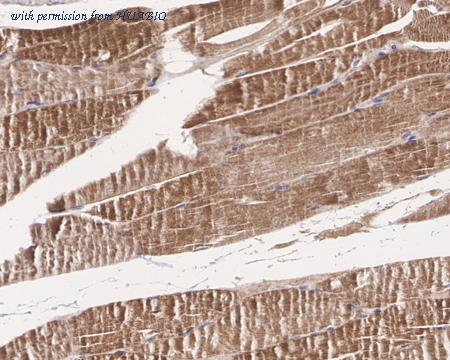 HUABIO HA721422 image 3