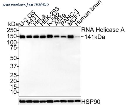 HUABIO HA721424 image 1