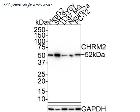 HUABIO HA721490 image 1