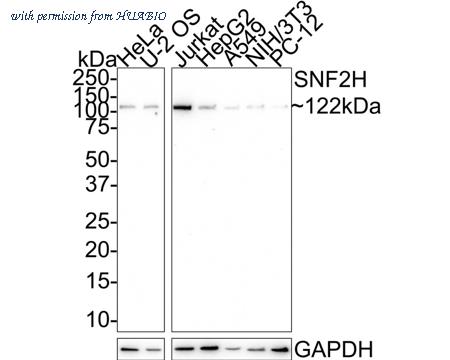 HUABIO HA721500 image 1