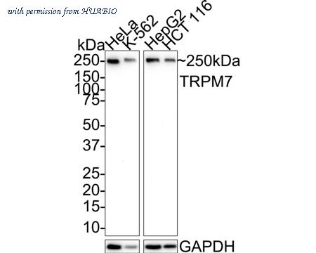 HUABIO HA721501 image 1