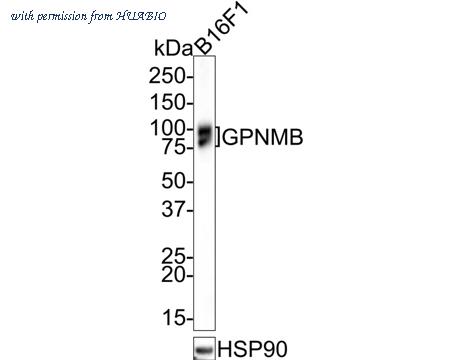 HUABIO HA721511-50UL image 2