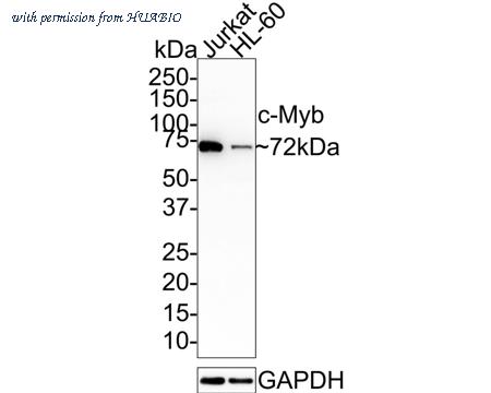 HUABIO HA721514 image 1