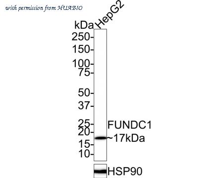 HUABIO HA721530 image 2
