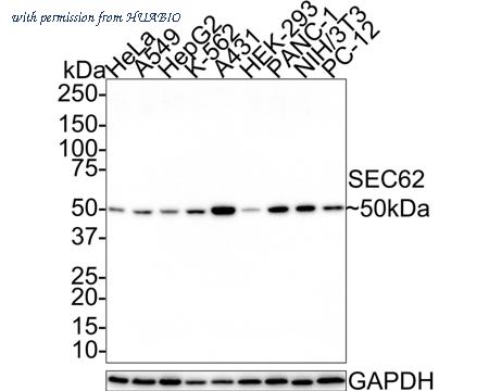 HUABIO HA721534 image 1