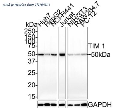 HUABIO HA721535 image 1