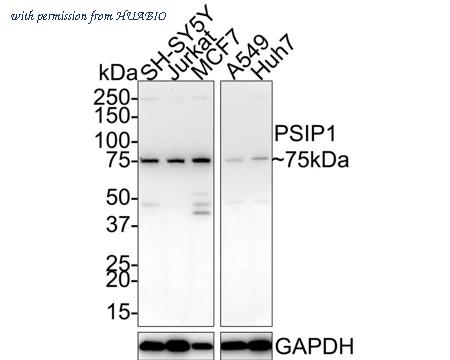 HUABIO HA721540 image 1