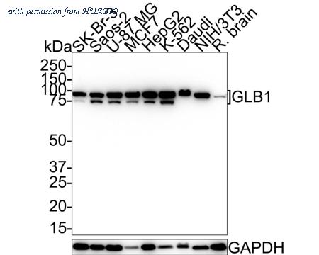 HUABIO HA721562 image 1