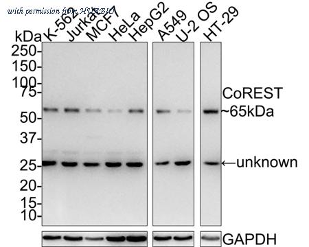 HUABIO HA721585 image 1