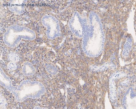 HUABIO HA721592 image 2