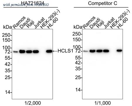 HUABIO HA721624 image 1