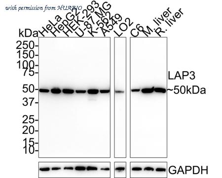 HUABIO HA721650 image 3