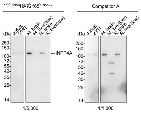 HUABIO HA721651 image 1