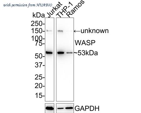 HUABIO HA721659 image 1