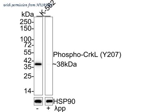 HUABIO HA721675 image 1