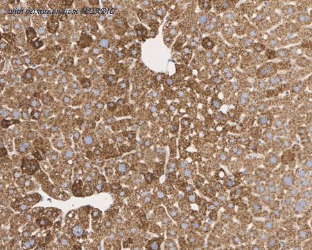 HUABIO HA721699 image 3