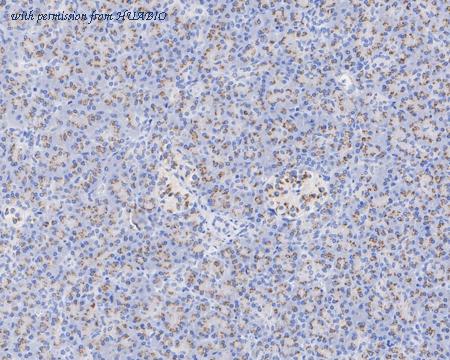 HUABIO HA721754 image 2