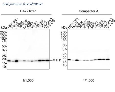 HUABIO HA721817 image 1