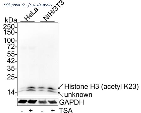 HUABIO HA721840 image 1