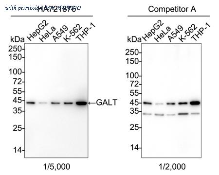 HUABIO HA721876 image 1