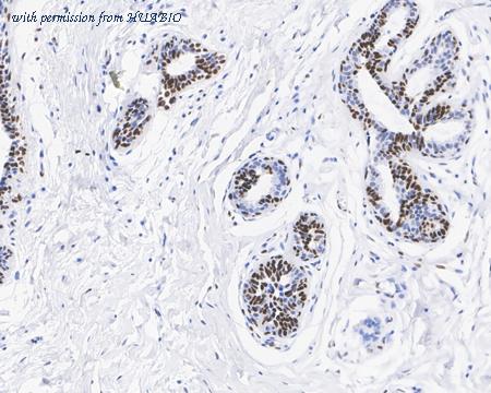 HUABIO HA721879 image 3