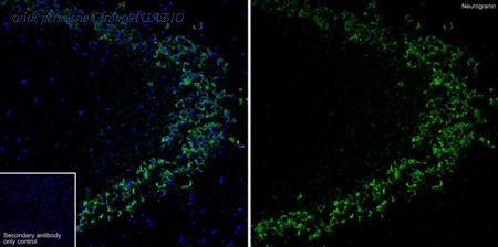 HUABIO HA721915 image 3