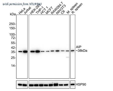 HUABIO HA721945 image 1
