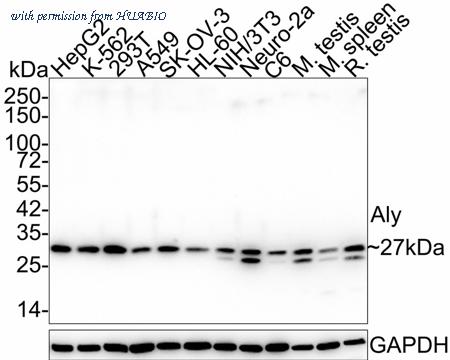 HUABIO HA721961 image 1
