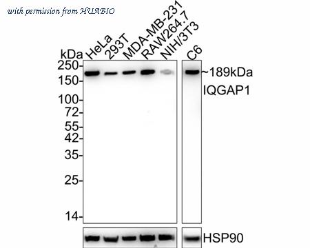 HUABIO HA721972 image 1
