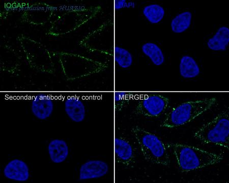 HUABIO HA721972 image 3