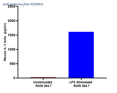 HUABIO HA721976 image 2
