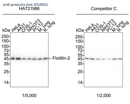 HUABIO HA721986 image 1