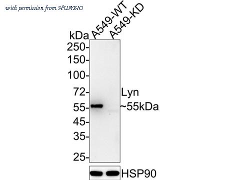 HUABIO HA721991 image 2