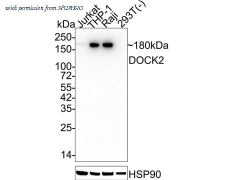 HUABIO HA721993 image 1