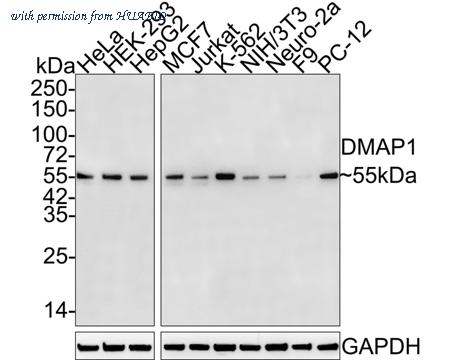 HUABIO HA722002 image 1