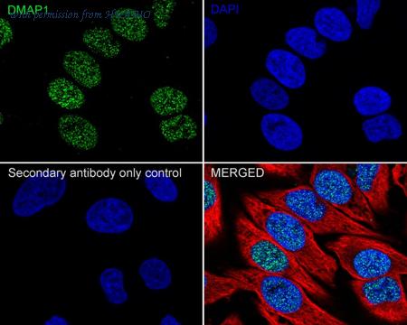 HUABIO HA722002 image 2