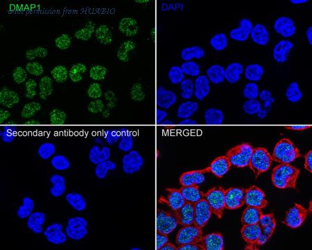 HUABIO HA722002 image 3